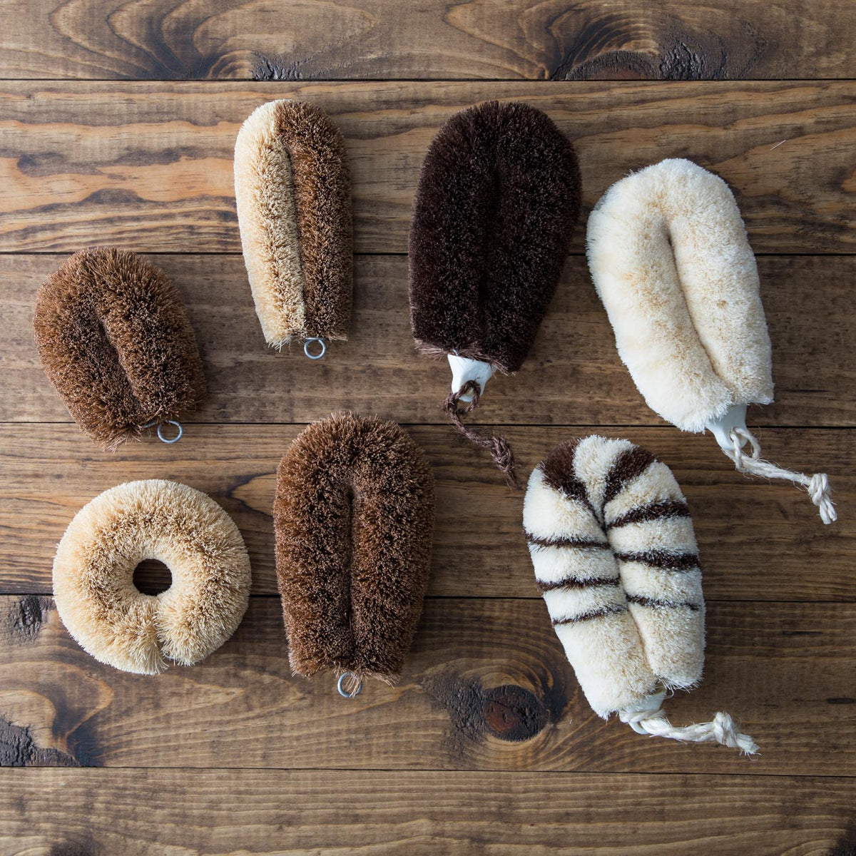 Cleaning Brush